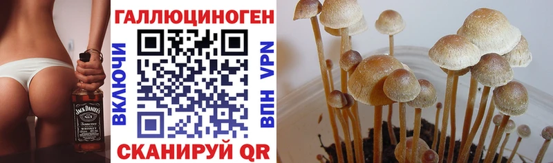Галлюциногенные грибы Magic Shrooms  Калачинск 