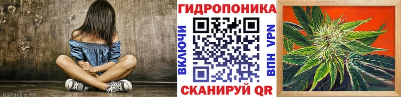 blacksprut рабочий сайт  купить наркотики сайты  Калачинск  Бошки Шишки планчик 